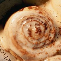 Attempt one: a single iced cinnamon roll, dusted, seen from directly above.